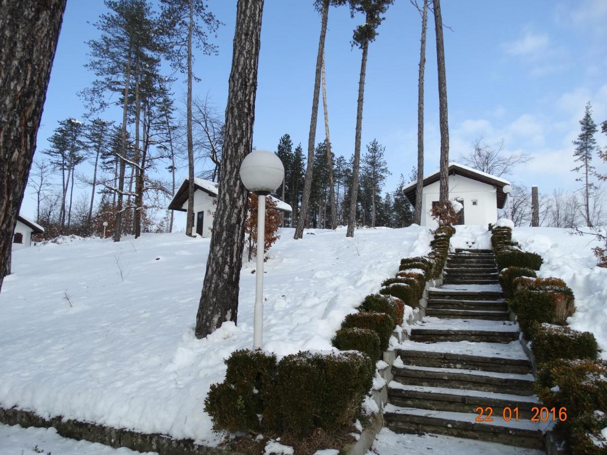 Complex Brashlyan Hotell Trjavna Rom bilde