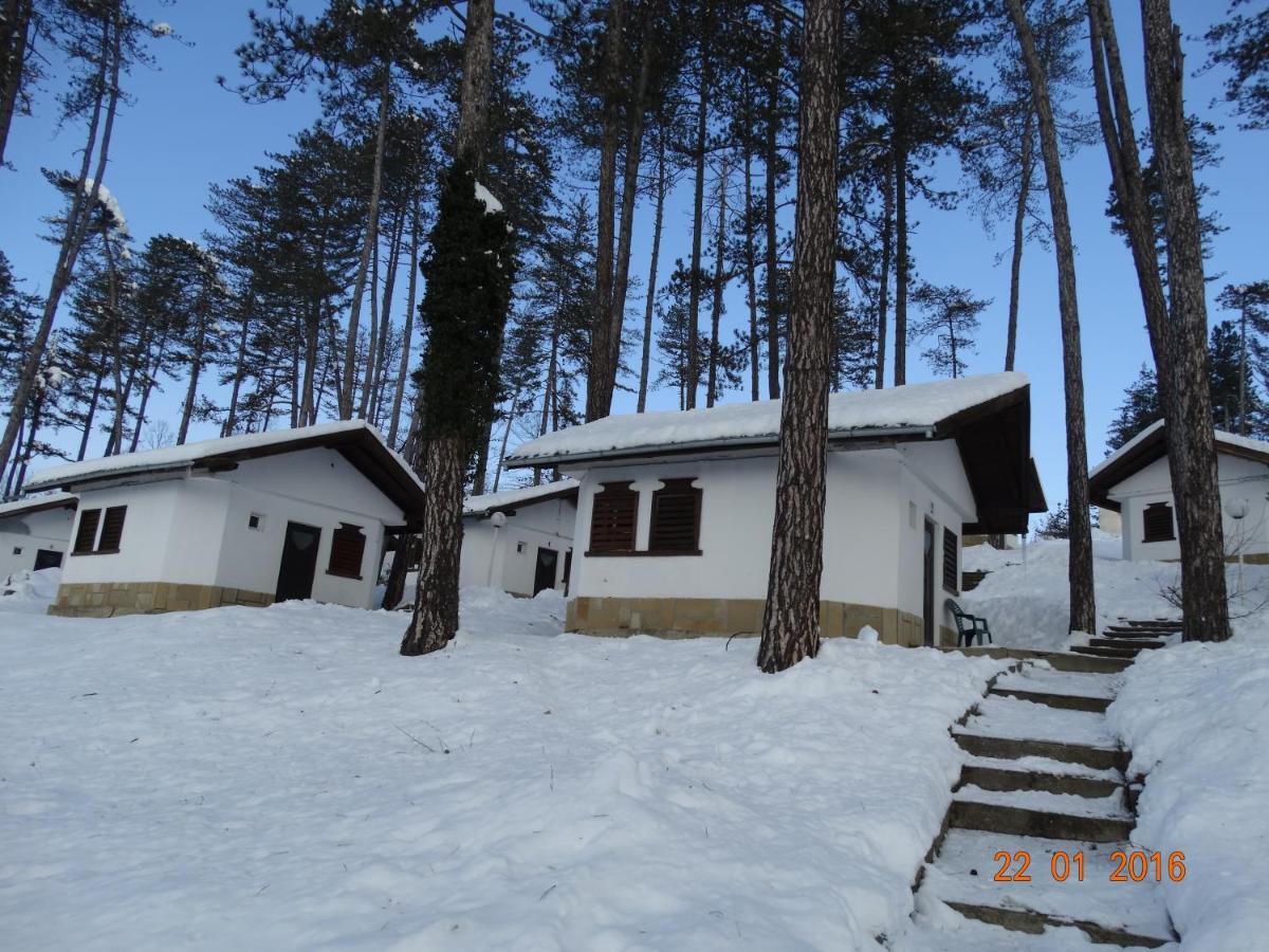 Complex Brashlyan Hotell Trjavna Rom bilde